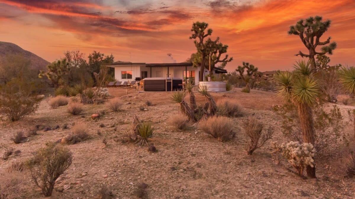 Kinetic House-Joshua Trees Sculptures Cowboy Pool Villa Yucca Valley Exterior foto